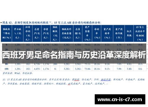 西班牙男足命名指南与历史沿革深度解析