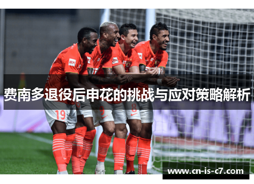 费南多退役后申花的挑战与应对策略解析 费南多退役后申花的挑战与应对策略解析