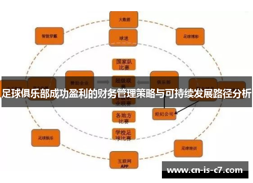 足球俱乐部成功盈利的财务管理策略与可持续发展路径分析