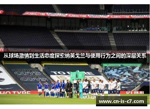 从球场激情到生活态度探索纳英戈兰与使用行为之间的深层关系