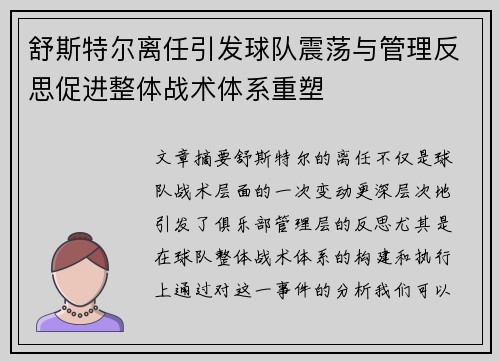 舒斯特尔离任引发球队震荡与管理反思促进整体战术体系重塑