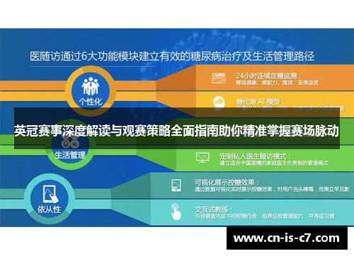 英冠赛事深度解读与观赛策略全面指南助你精准掌握赛场脉动