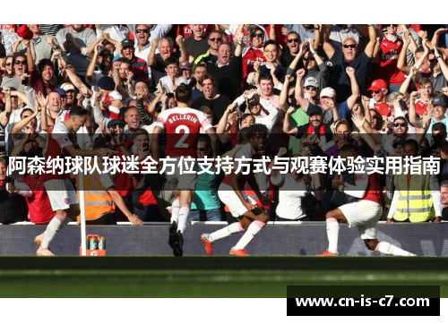阿森纳球队球迷全方位支持方式与观赛体验实用指南 阿森纳球队球迷全方位支持方式与观赛体验实用指南
