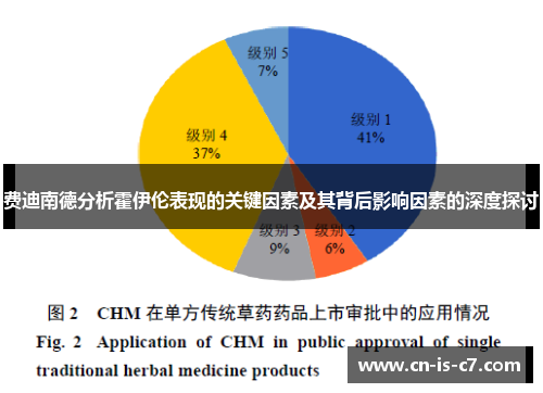 费迪南德分析霍伊伦表现的关键因素及其背后影响因素的深度探讨