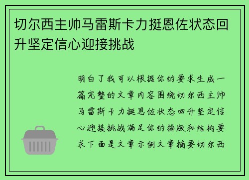 切尔西主帅马雷斯卡力挺恩佐状态回升坚定信心迎接挑战 切尔西主帅马雷斯卡力挺恩佐状态回升坚定信心迎接挑战