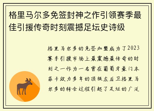 格里马尔多免签封神之作引领赛季最佳引援传奇时刻震撼足坛史诗级